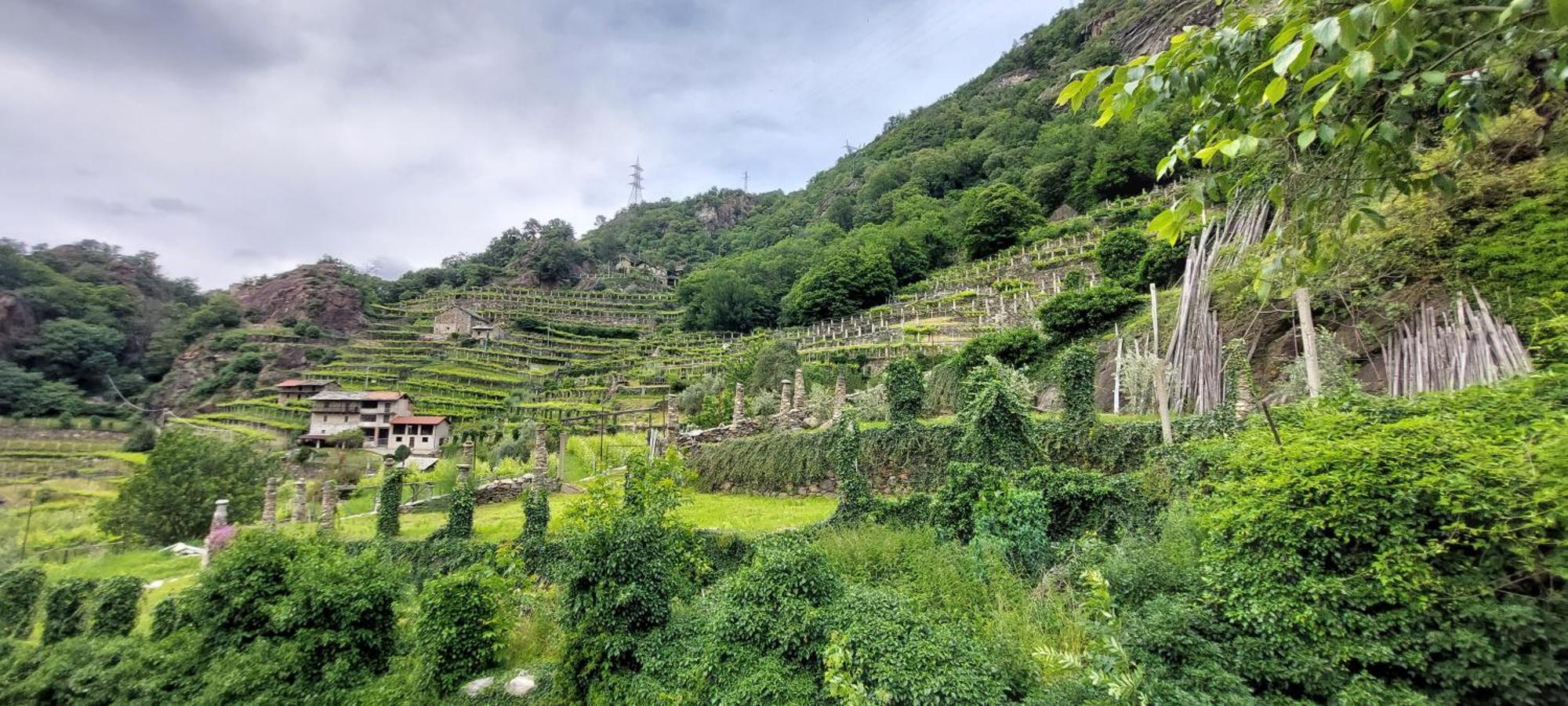 Relais Del Brigante Bed & Breakfast Settimo Vittone Dış mekan fotoğraf