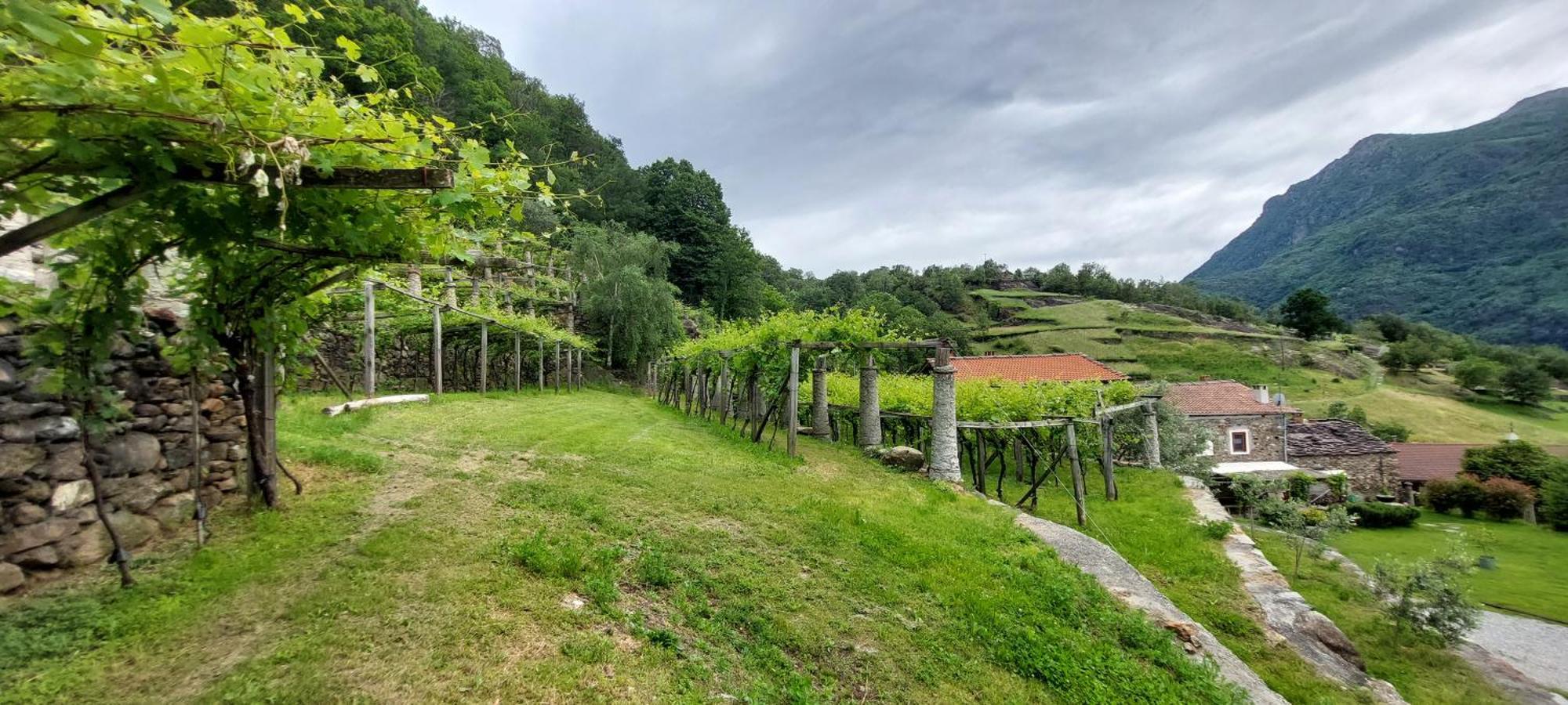 Relais Del Brigante Bed & Breakfast Settimo Vittone Dış mekan fotoğraf