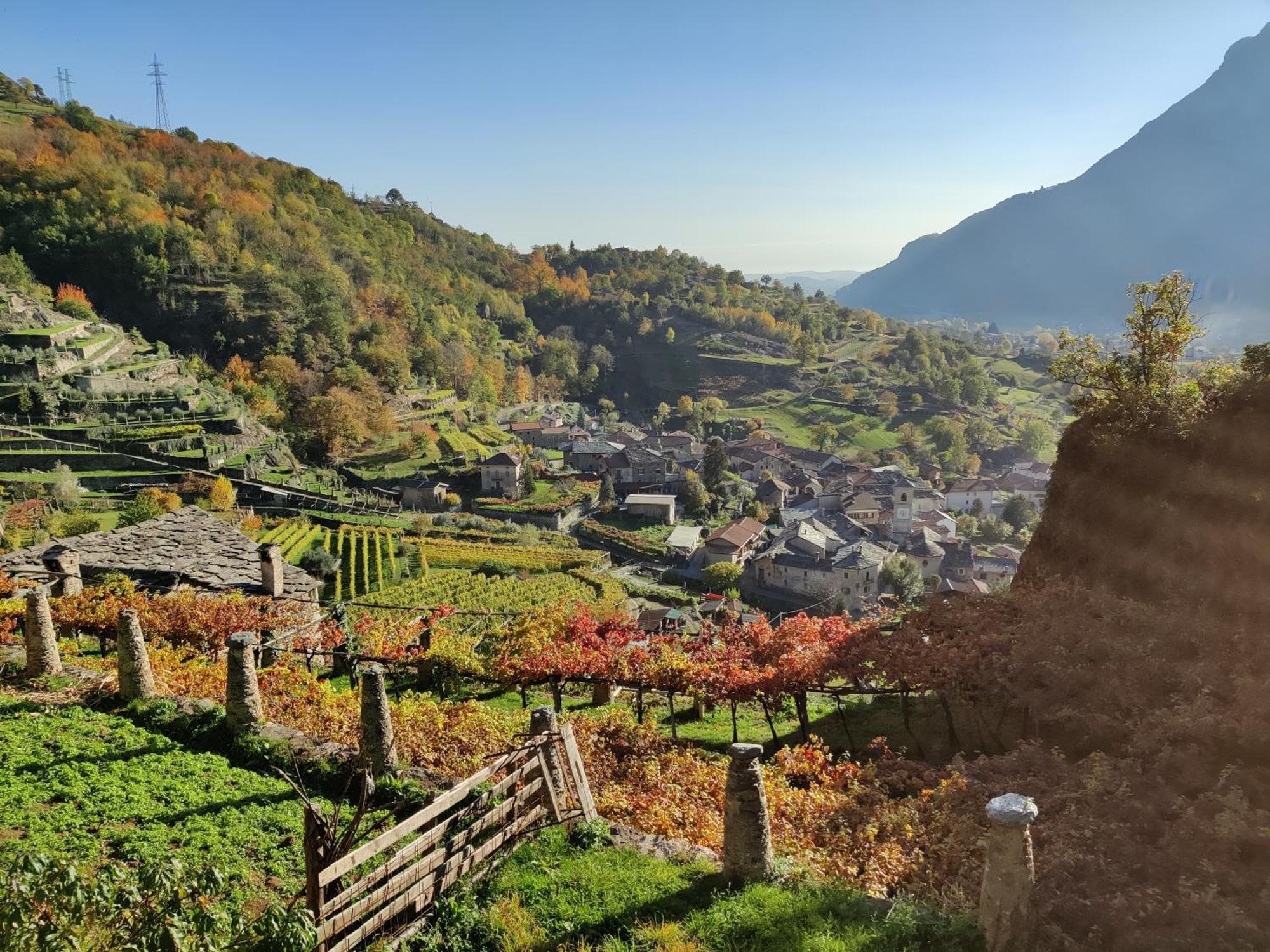 Relais Del Brigante Bed & Breakfast Settimo Vittone Dış mekan fotoğraf